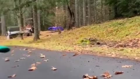 FUNNY MOVEMENT 😅