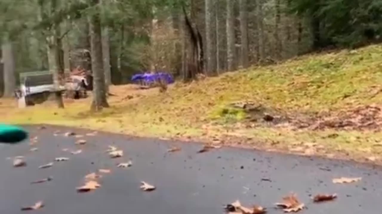 FUNNY MOVEMENT 😅