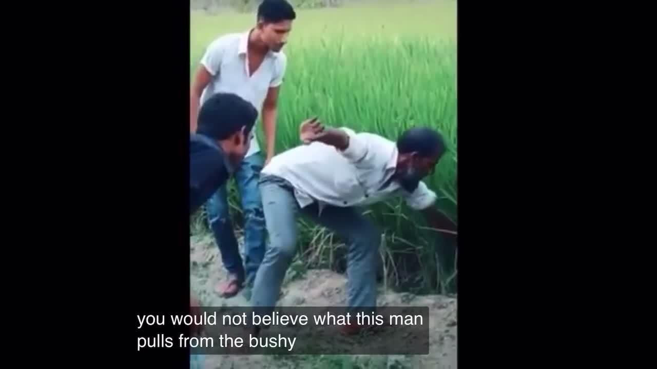 You will not believe this video