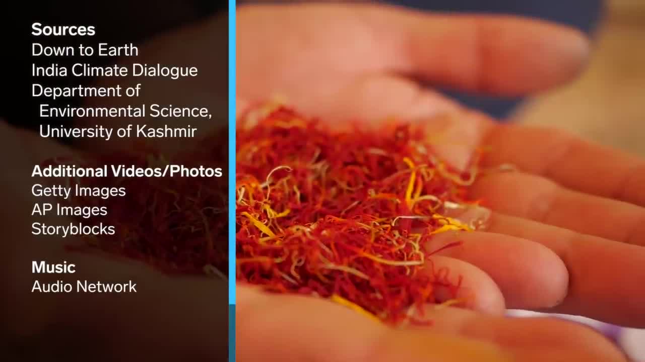 Why Fake Saffron Trafficking Is Destroying The 'Red Gold' Industry _ Big Business.