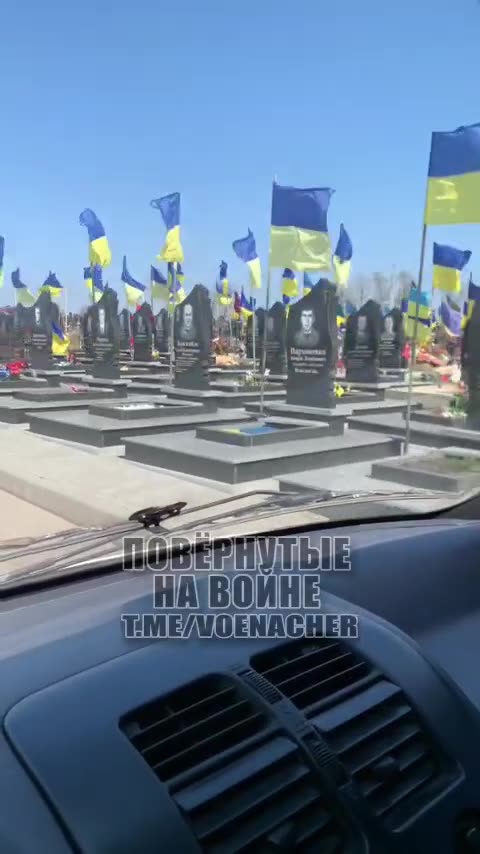 Welcome to Nato Sweden