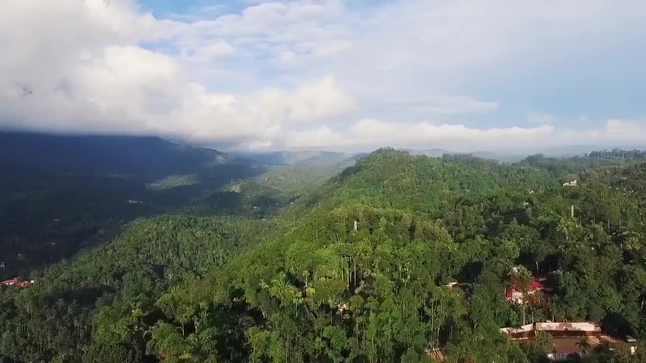 Dreamland Munnar