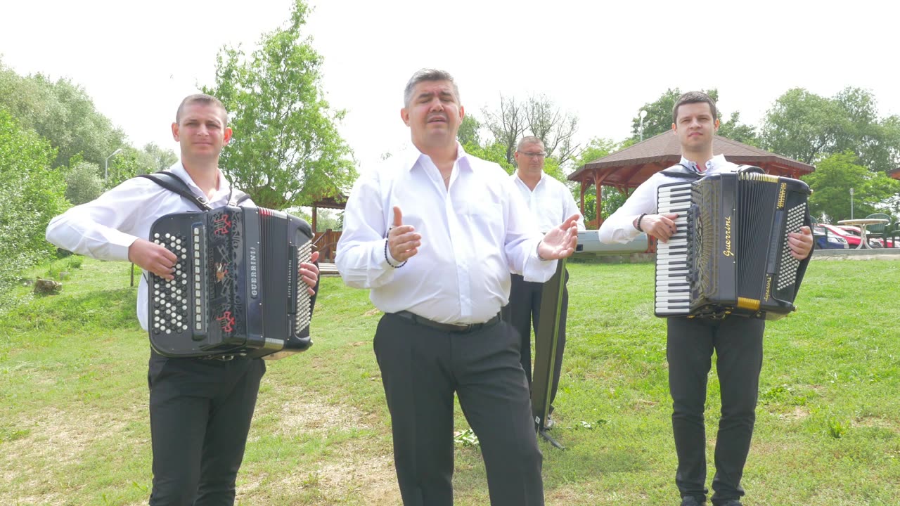 Vlada Nedin - Dragoste nebună la prima vedere