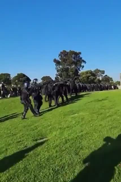 Australia SHOTGUNS fired into crowd - gathering peacefully at the war memorial