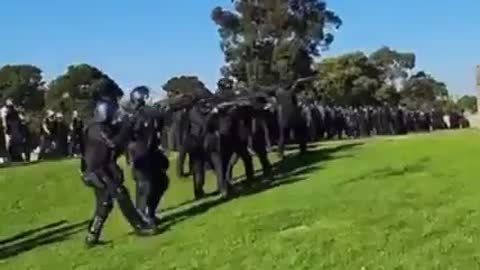 Australia SHOTGUNS fired into crowd - gathering peacefully at the war memorial