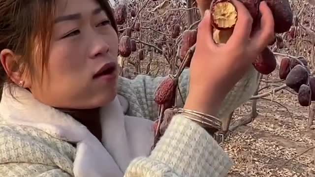 Eating fruits on the tree