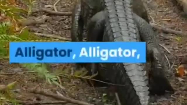 Animals name, unknown animals name, animals name video