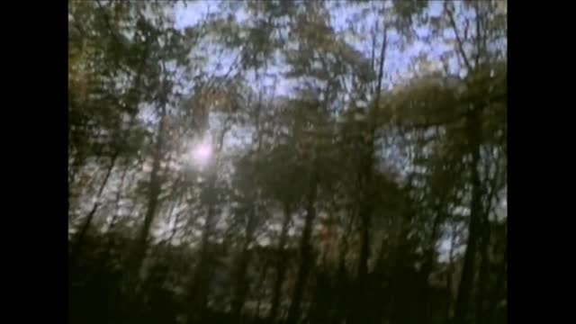 Def Leppard - Hysteria