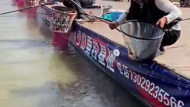 Best Asian Fishing