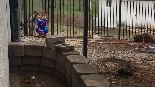 Husky and girl howling