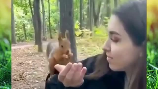 Cute Funny Friendly Squirrel 🦨