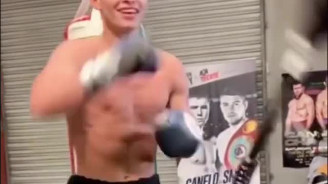 Daily training of professional boxers