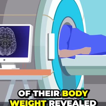 Link Between Your Brain and Weight Loss