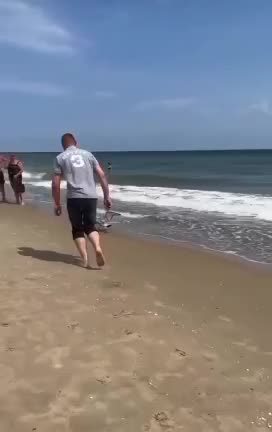 bird likes slippers 😂