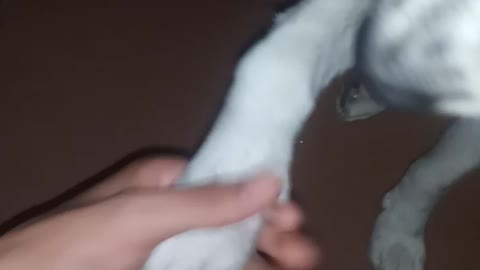 Mi gran amigo saludando.
