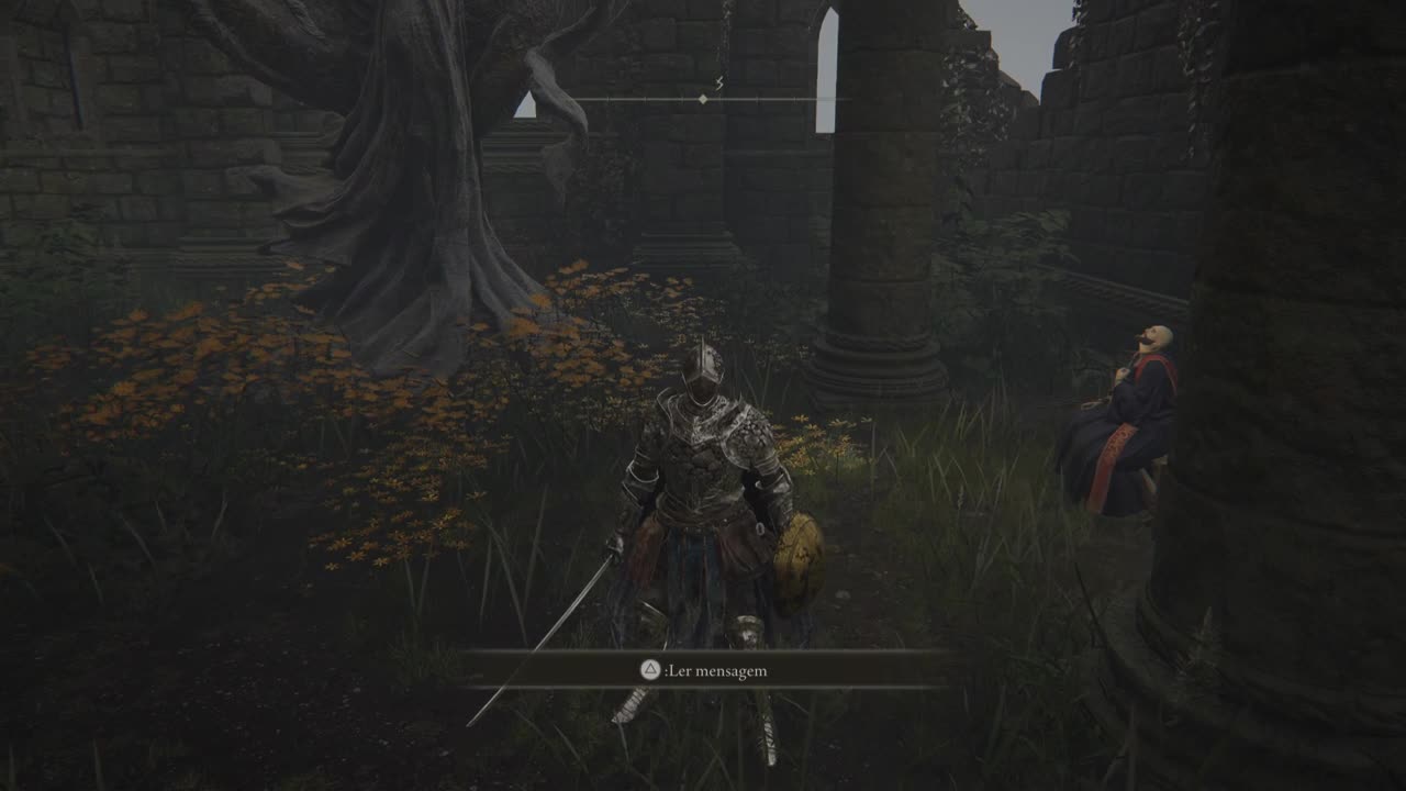 Elden Ring Gesture Erudition,Twinsage Glintstone Crown Location