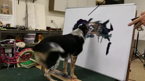 The Artist Dog😊😊