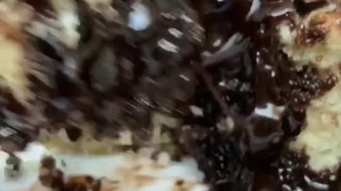 Chocolate Chip Cake topped with Chocolate!