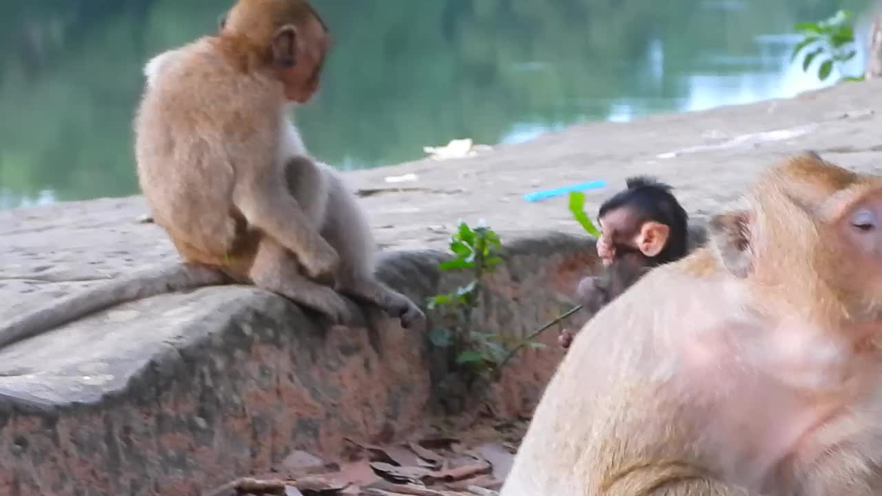 Bobิy Plays With his Sister Branda