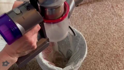 Dyson V8 Extra Cordless Cleaner Vacuum, How to Quickly Empty Your Canister, Easy Steps