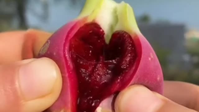 Fruits Video Farm Fresh Ninja Fruit Cutting Satisfying Fruit | Amazing Fruits Video #fruits #short