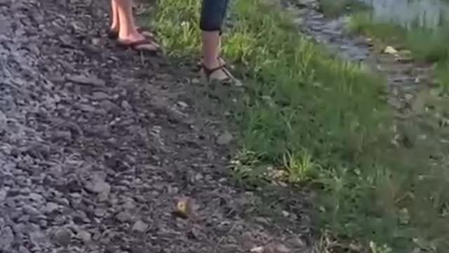 Stuff the Media didnt show....