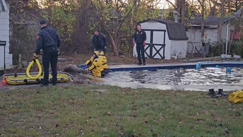 Fire Department Rescues Deer From Inground Pool