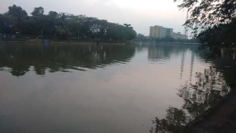 river atmosphere by the roadside