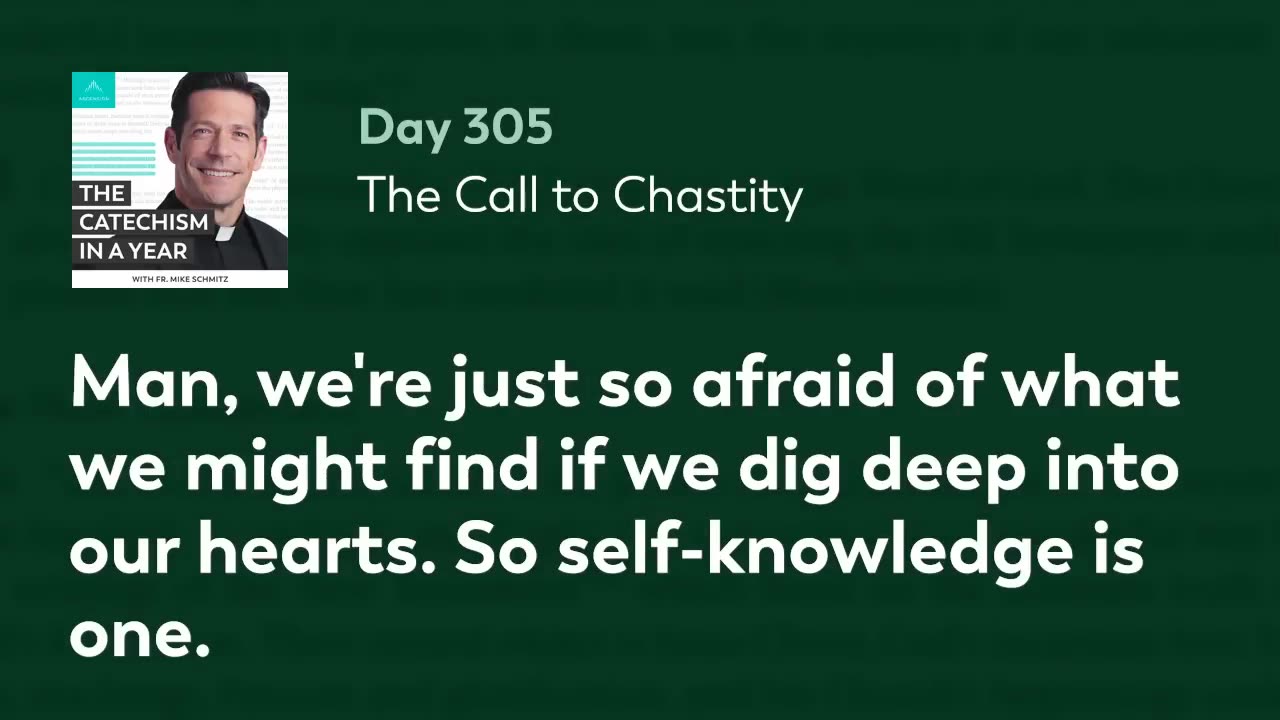 Day 305: The Call to Chastity — The Catechism in a Year (with Fr. Mike Schmitz)