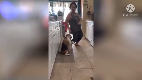 The dog dancing to Little Big