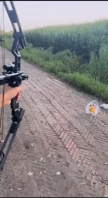 Self loading ball bow