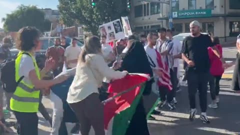 Palestinian And Israeli Supporters Get Heated Outside Seattle In New Clip