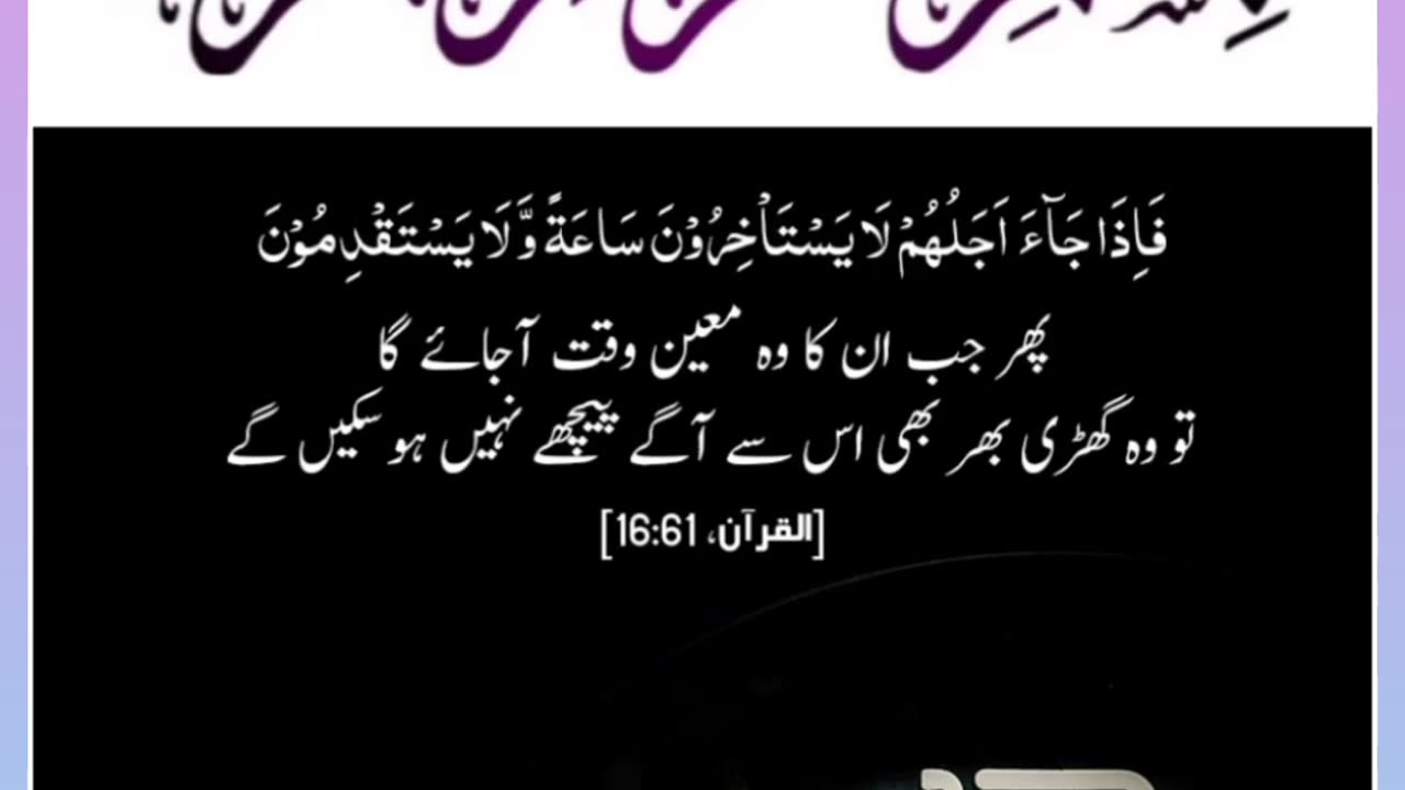 Quran , Al Quran Surah 16 Ayat 61 #viral #shorts #quran #youtubeshorts