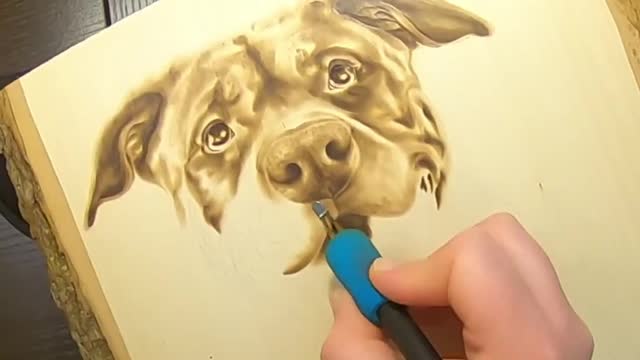 Draw a picture of a dog Ⅴ