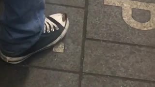 Cockroach on tip of shoe subway station