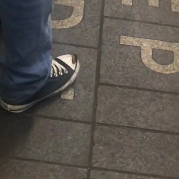 Cockroach on tip of shoe subway station
