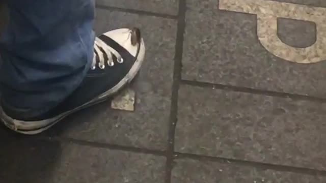 Cockroach on tip of shoe subway station