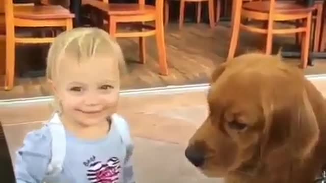 Dogs can do the same for kids