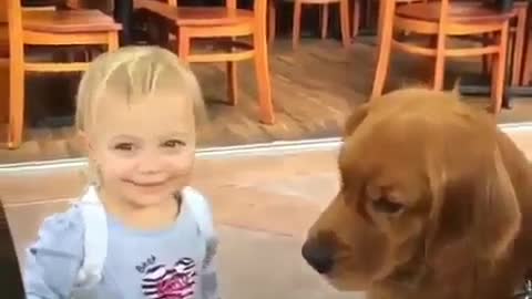 Dogs can do the same for kids