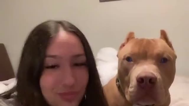 That dog is a paid actor - tiktok