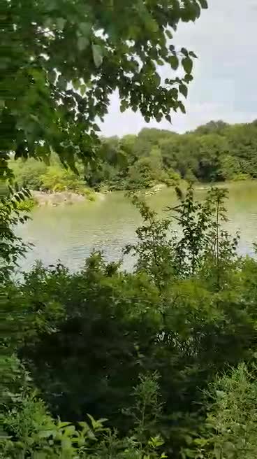 Day in central park nyc