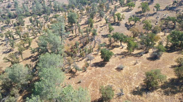 KB Moua 80 Acres Land