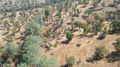 KB Moua 80 Acres Land