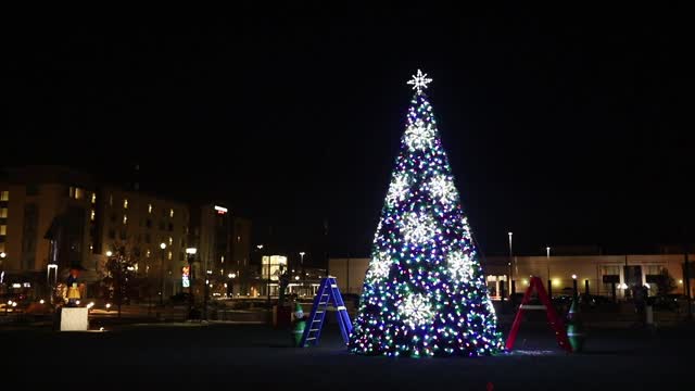 2019 Commercial Christmas Tree Synced to Music