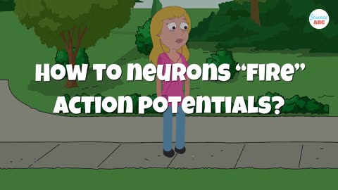 Intro to Nerves for Kids