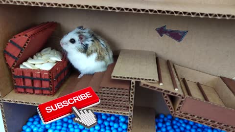 Hamster Pop It Maze - little funny Pet