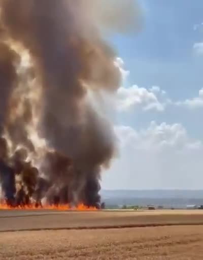 crops in rumania under fire