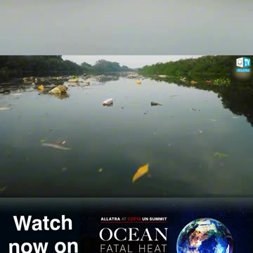 Climate Crisis and Ocean Pollution!