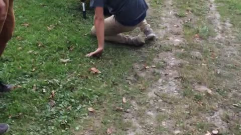 Blue shirt guy falls off tiny yellow motorbike