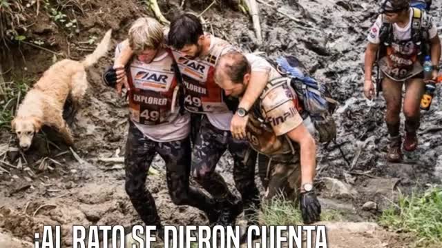 Arthur, el perro callejero que siguió a unos deportistas durante toda una carrera